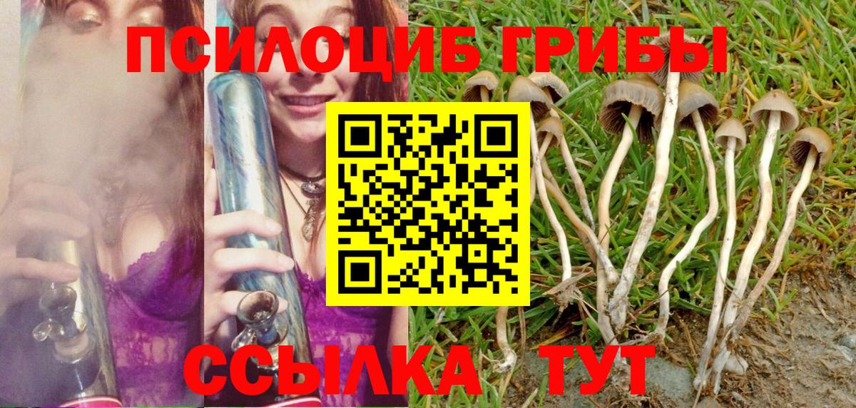 Алейск  Галлюциногенные грибы MAGIC MUSHROOMS  Вход с VPN 
