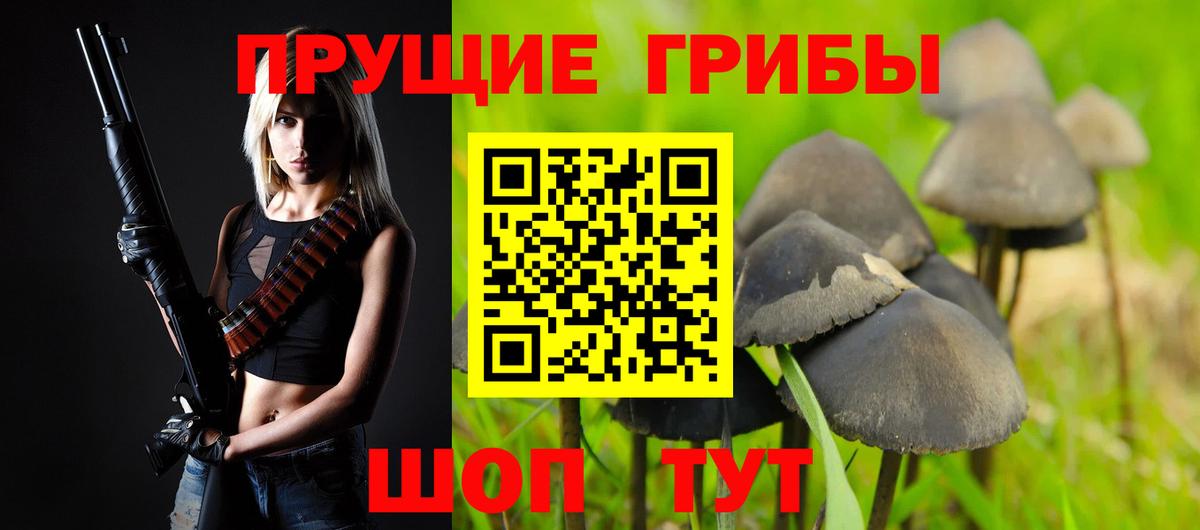 Псилоцибиновые грибы GOLDEN TEACHER Алейск